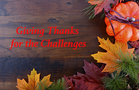 Gratitude for the Challenges